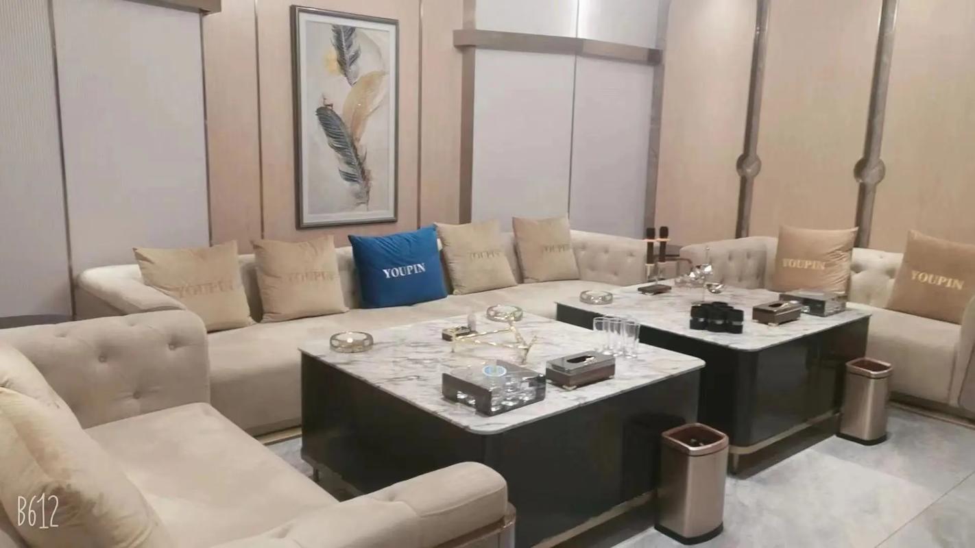 梧州商务KTV尽享商务娱乐-长洲区ktv预定